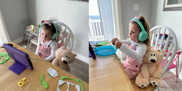 Enhancing Focus with Weighted Stuffed Animals: Insights from VandenBerg (2001)
