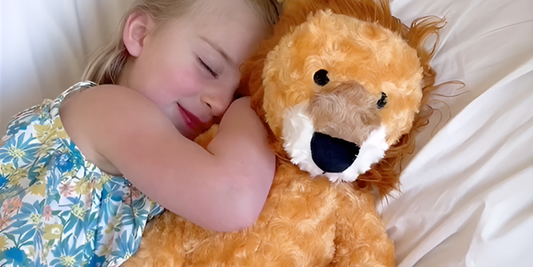 Evaluating the Physiological Effects of Deep Touch Pressure: Implications for Weighted Stuffed Animals in Anxiety Alleviation